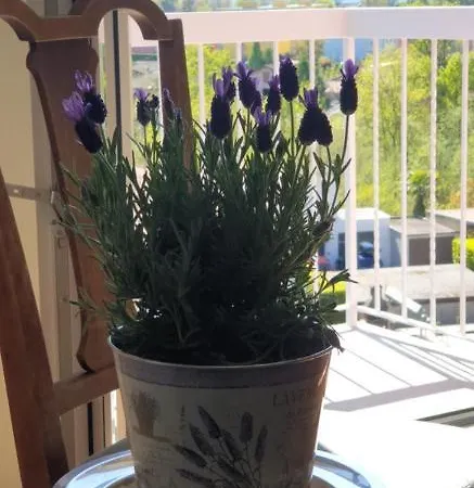 Ristorante Gordolese Con