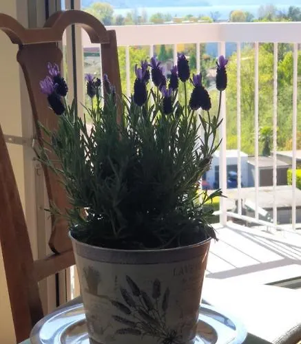 Ristorante Gordolese Con